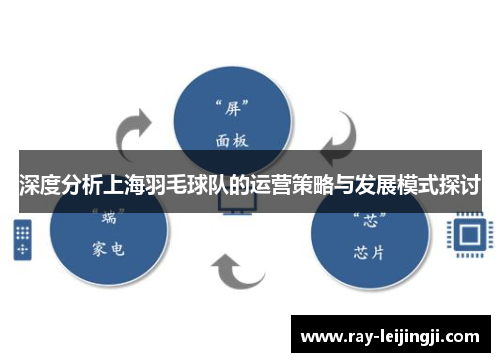 深度分析上海羽毛球队的运营策略与发展模式探讨